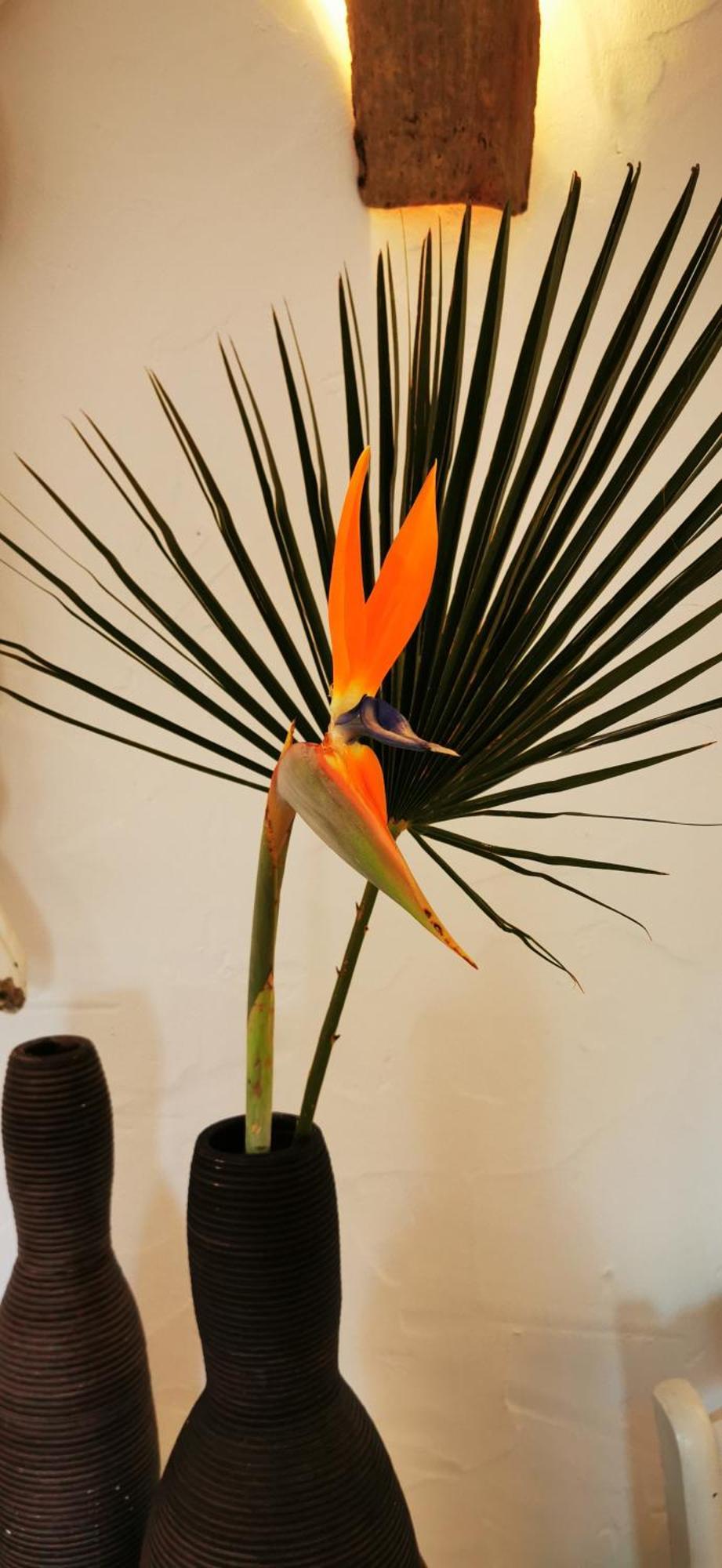 Roca Verde, Boutique Bed & Breakfast (Adults Only) อาเลาริน เดลา ตอร์เร ห้อง รูปภาพ