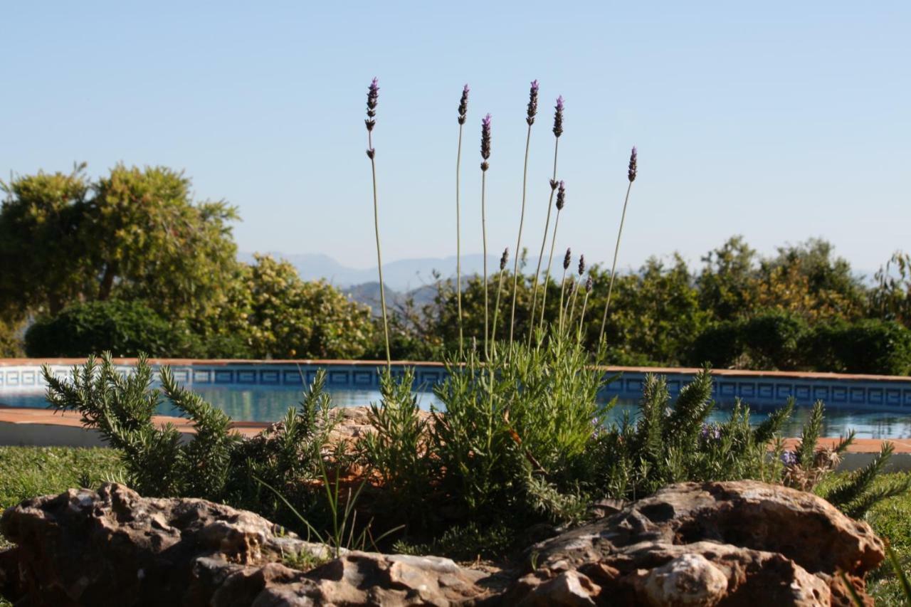 Roca Verde, Boutique Bed & Breakfast (Adults Only) อาเลาริน เดลา ตอร์เร ภายนอก รูปภาพ